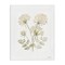 Stupell Industries Spring Dandelion Sprigs Canvas Wall Art Design by House Fenway